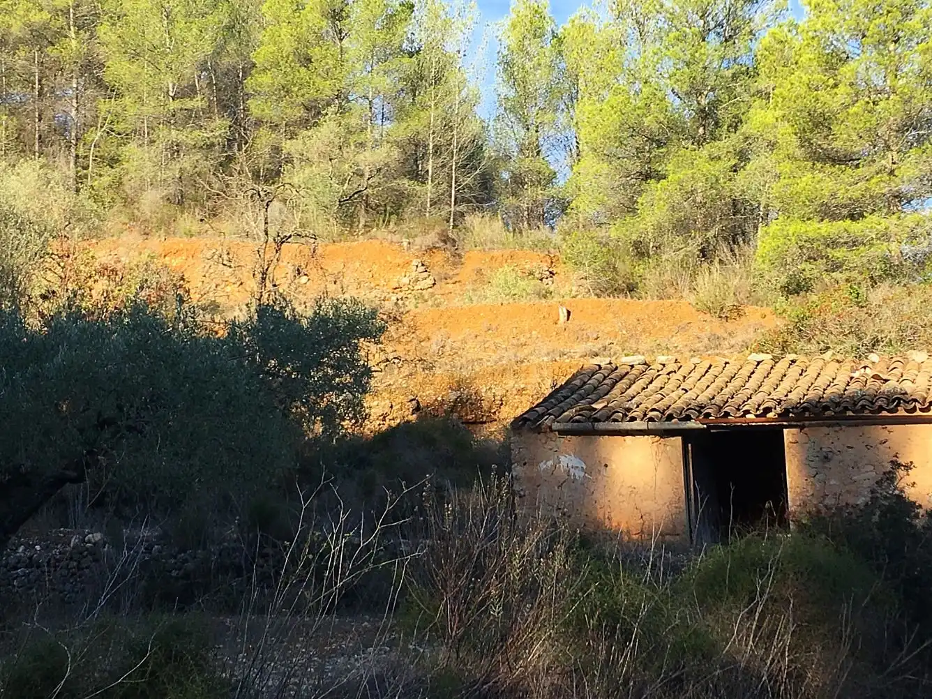 Maison à vendre à El Pinell de Brai, imagen 2