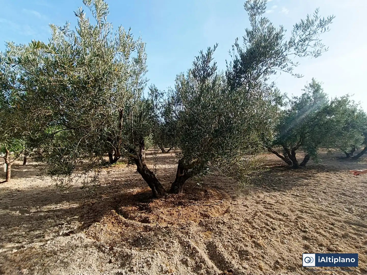 Casa o xalet en venda en Baza amb Jardí privat, Piscina i Moblat