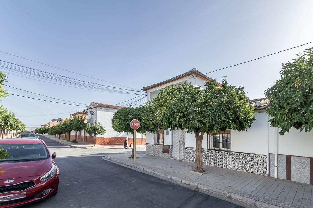 Exterior view of House or chalet for sale in Láchar