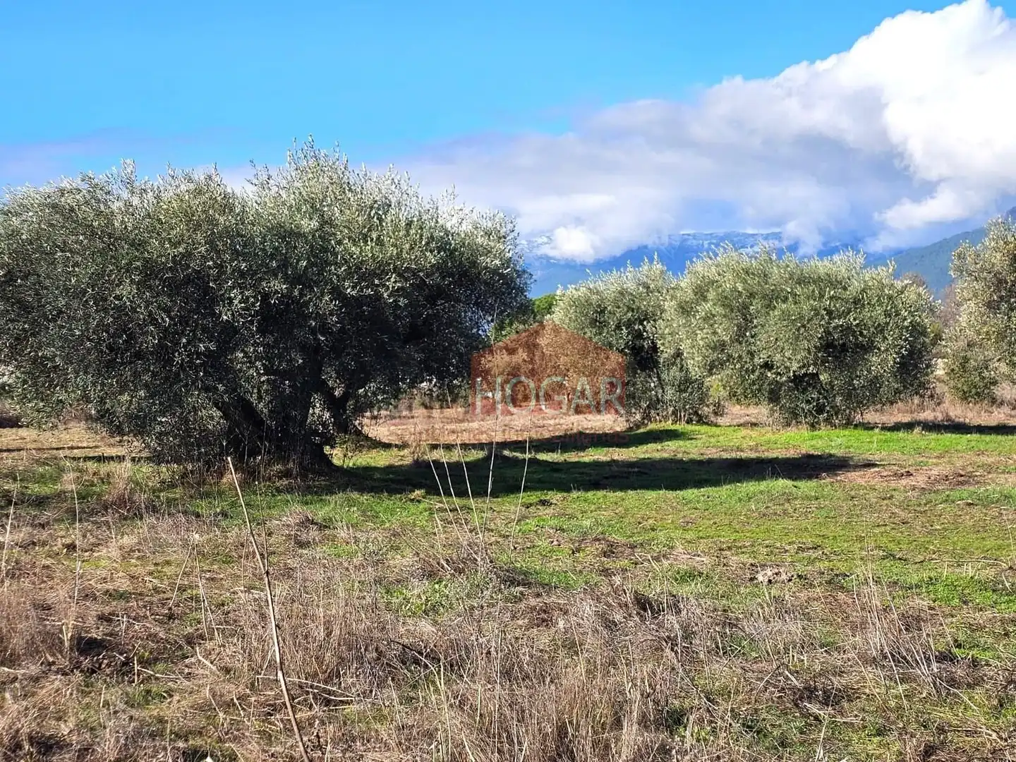 Terreni e lotti in vendita a La Adrada, imagen 13