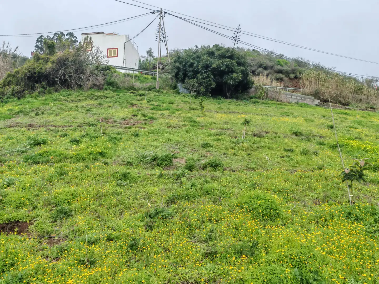 Finca rústica en venta en Santa María de Guía de Gran Canaria con Amueblado