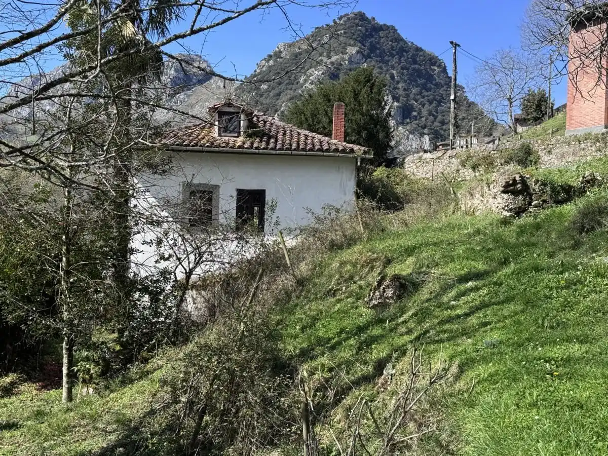 Exterior view of Country homes for sale in Peñamellera Alta  with Private garden