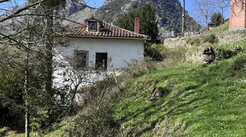 Photo 4 of Country homes for sale in Peñamellera Alta, Asturias