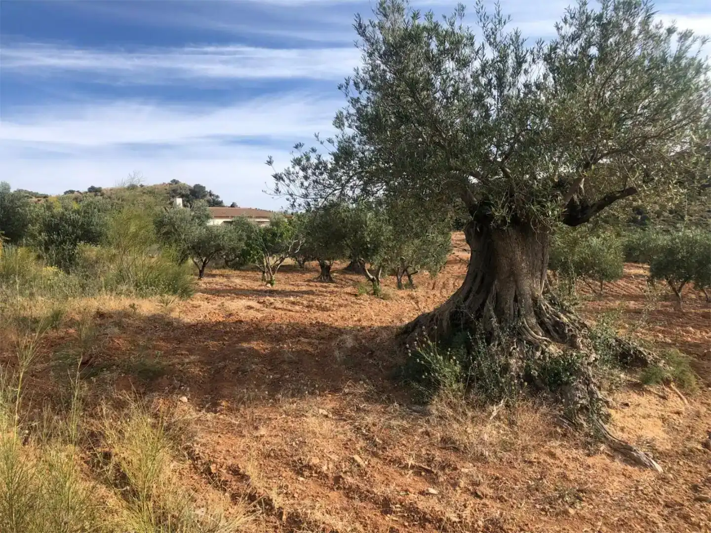 Piso en venta en Ardales