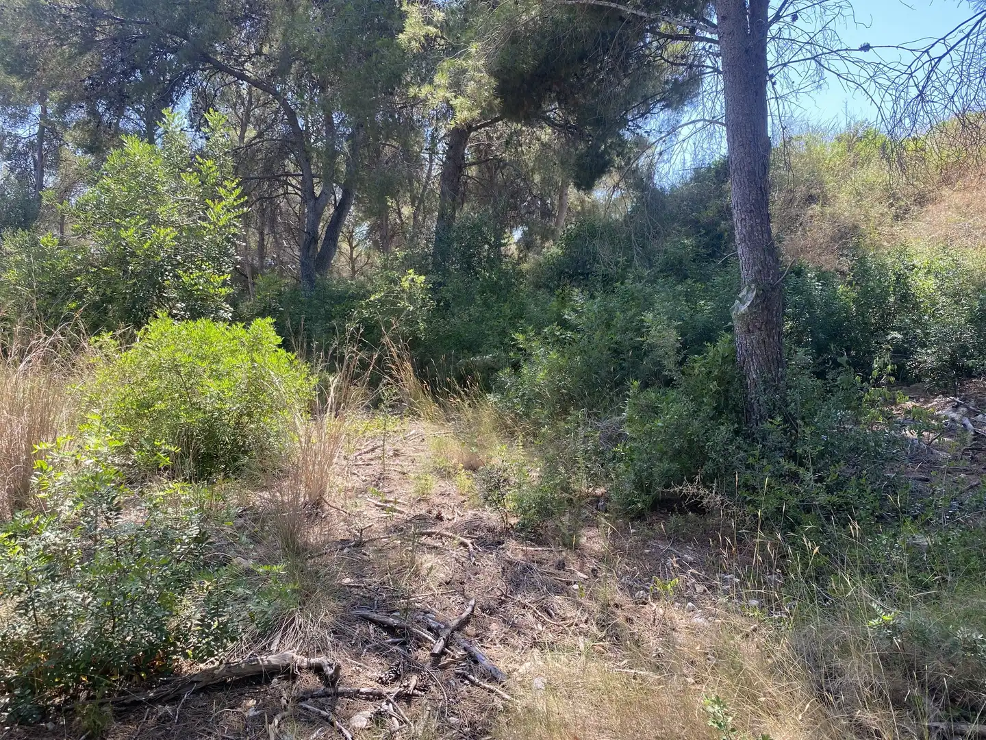 Residential land for sale in Urbanitzacions de Llevant, imagen 13