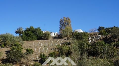 A la venta, Finca en Viñuela, Málaga, Andalucía