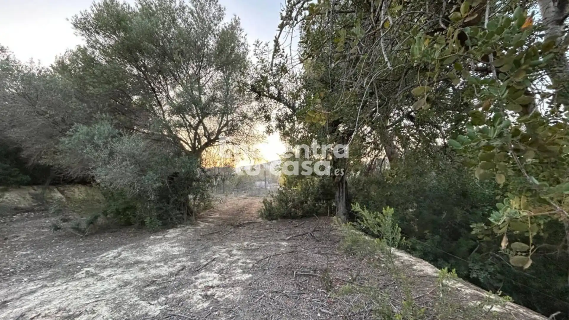Land for sale in Villajoyosa / La Vila Joiosa
