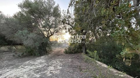 Foto 2 de Terreno en venta en Calle Partida Galandú, Platja de Torres, Villajoyosa / La Vila Joiosa