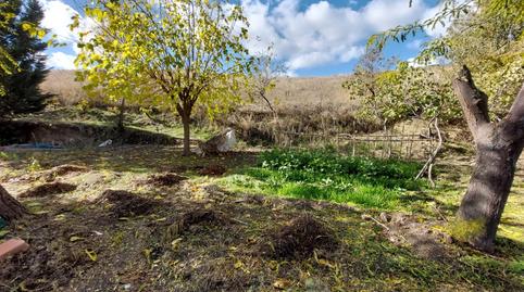 Photo 4 of House or chalet for sale in El Molar (Madrid), Madrid