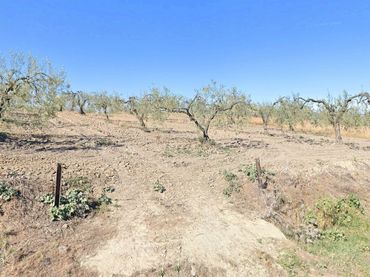 Rustikales Grundstück zum Verkauf in Calle Ambrosio Lorenzo Lopez 33