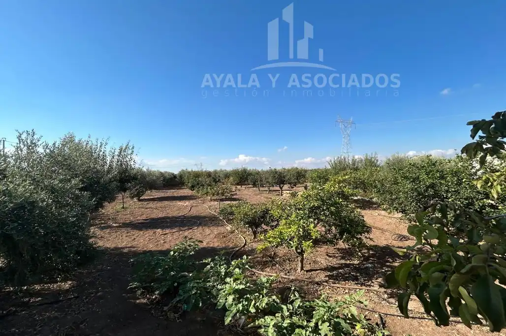Finca rústica en venda en Cartagena amb Aire condicionat, Calefacció i Jardí privat