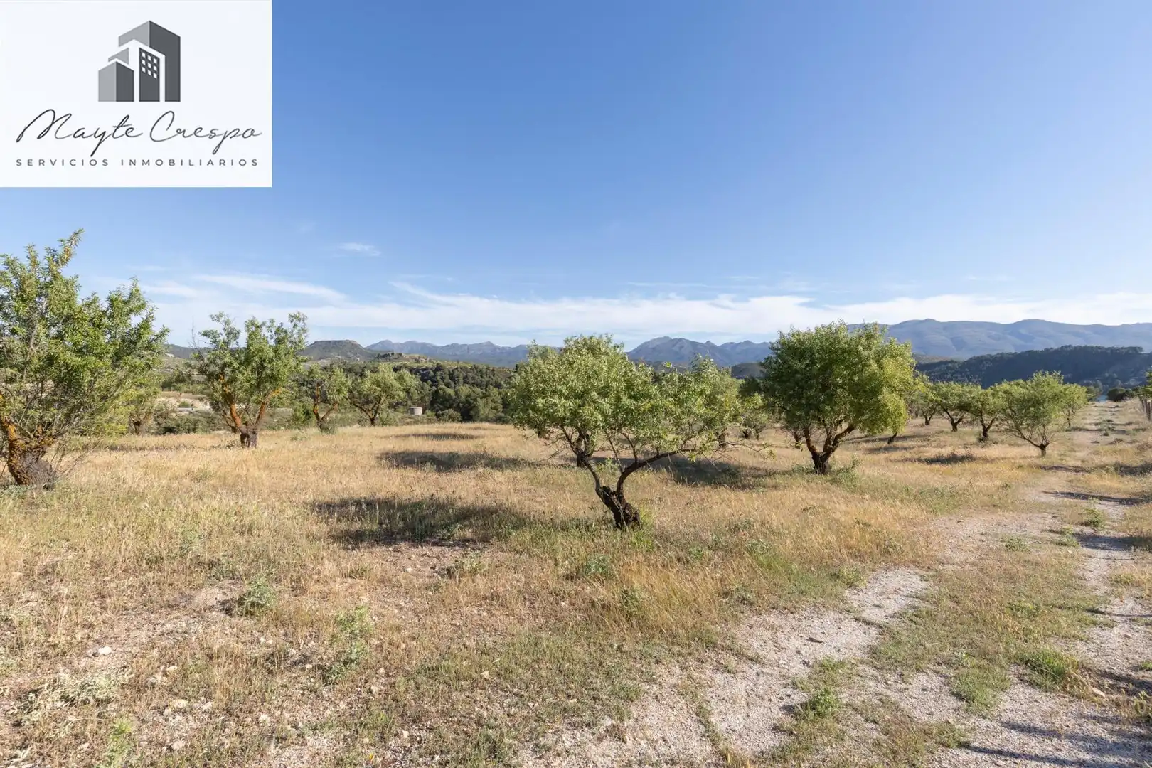 Casa rústica con terraza en venta en Calle GR-3307, Arenas del Rey, Granada GR-3307, imagen 48