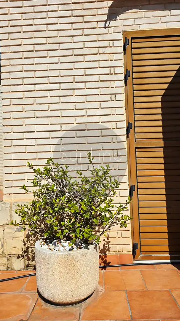 House with pool for sale in Carrer Font de la Carrasquera, imagen 175