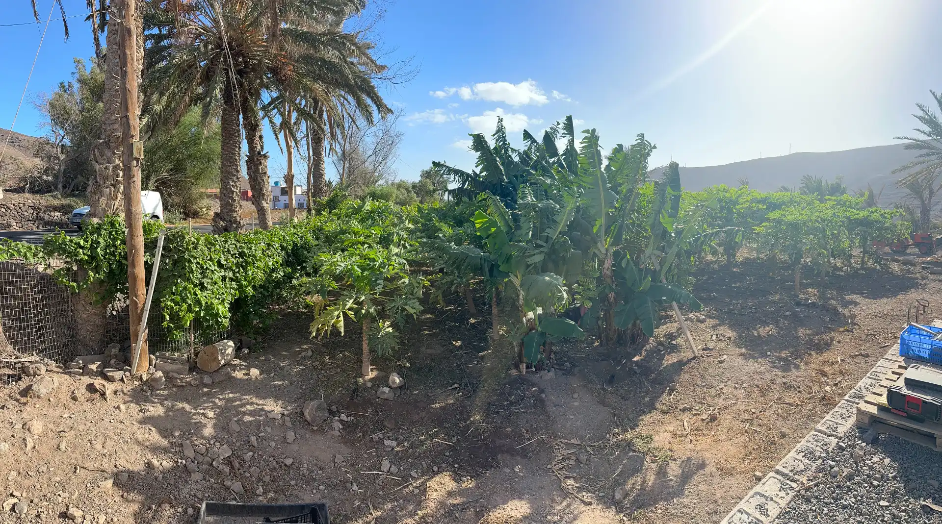 Finca rústica en venda en Pájara amb Jardí privat, Moblat i Forn