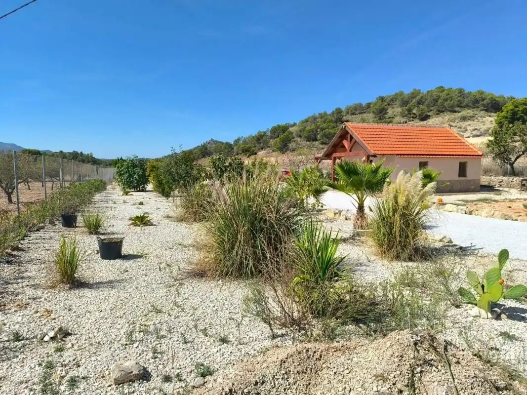 House for sale in El Pinós / Pinoso, imagen 24