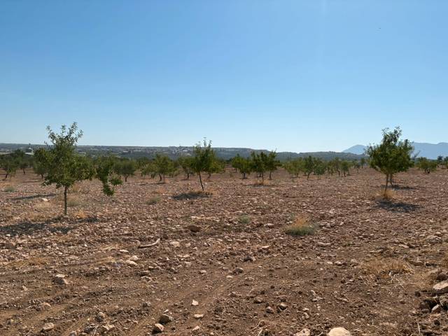 Terreno en Venta en Calle a, 1 en Cuevas del Campo