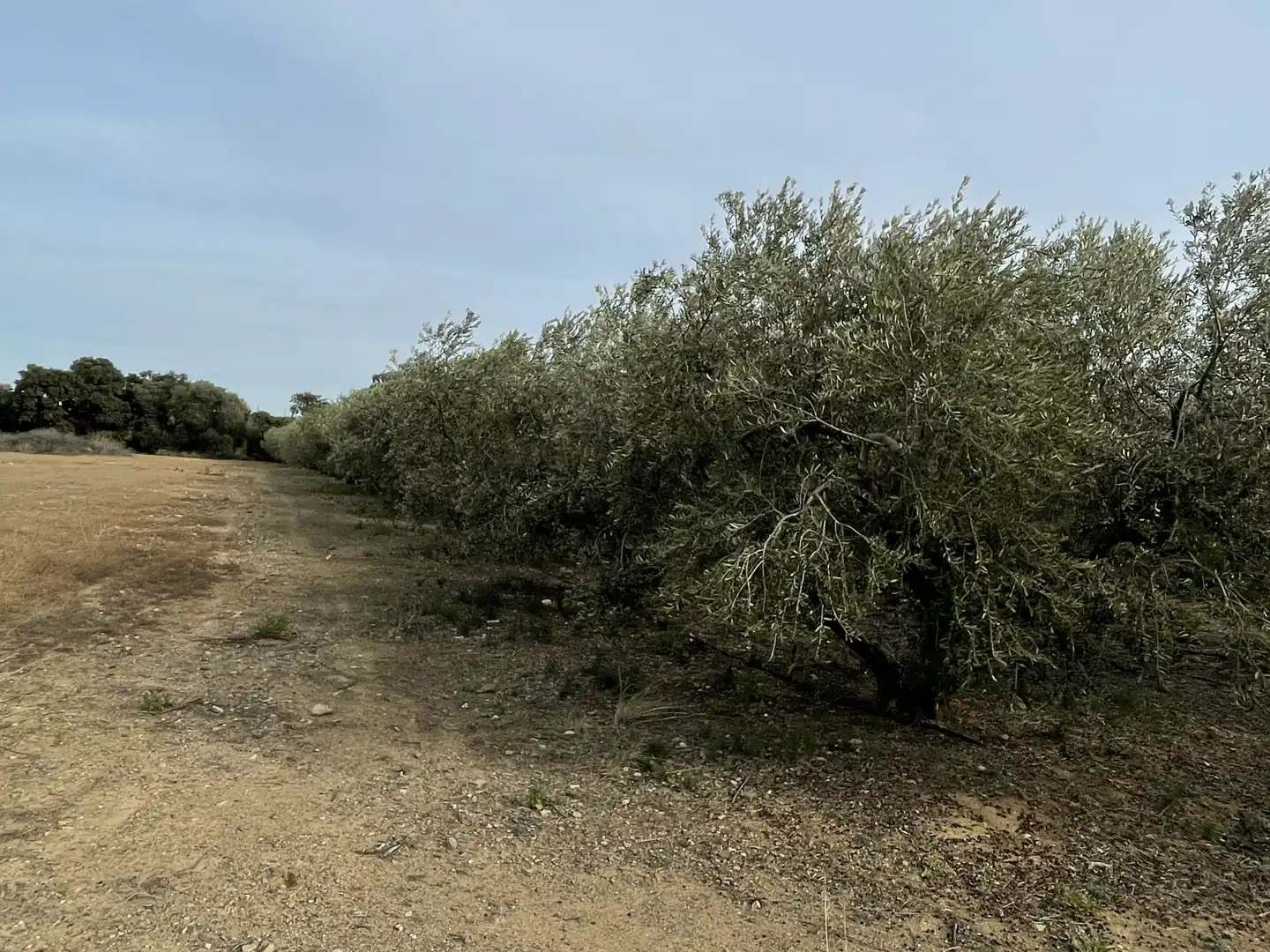 Land for sale in Cambrils