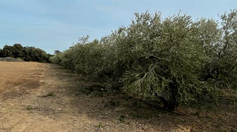 Photo 3 of Land for sale in E-15, 267, Tarraco, Tarragona