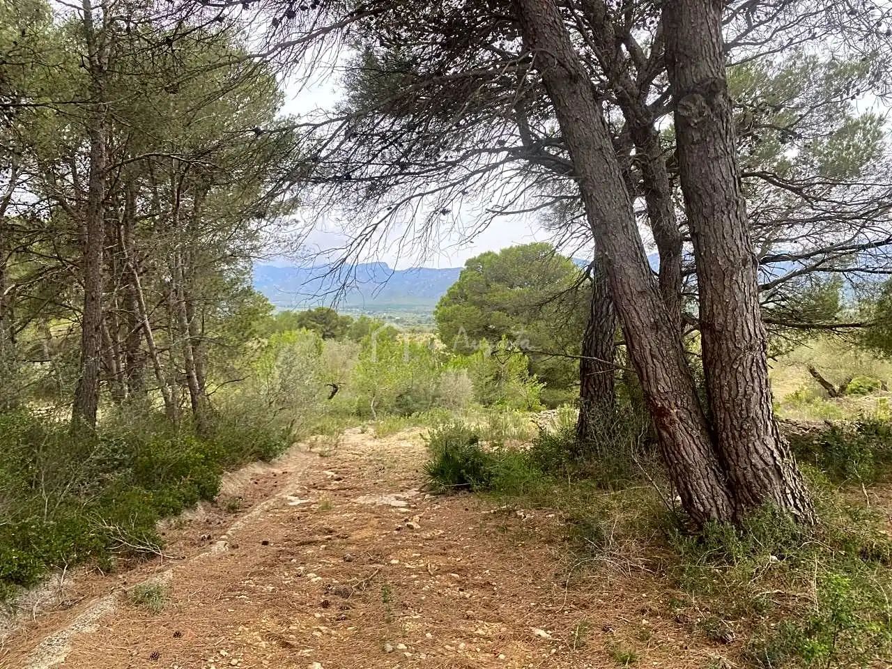 Terreno rustico in vendita a Burga, imagen 19