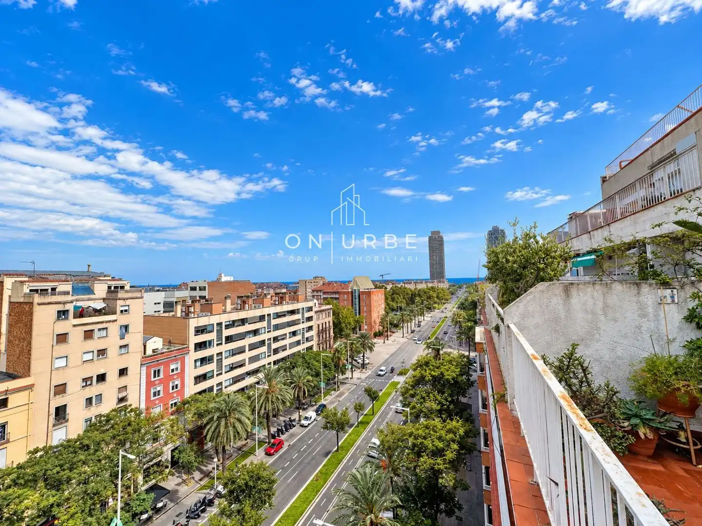 Àtic amb ascensor en venda a Marina, imagen 3