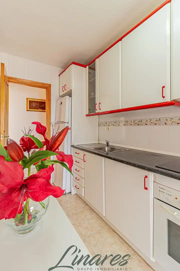 Penthouse for sale in Calle IPANEMA - LA MANGA, imagen 33