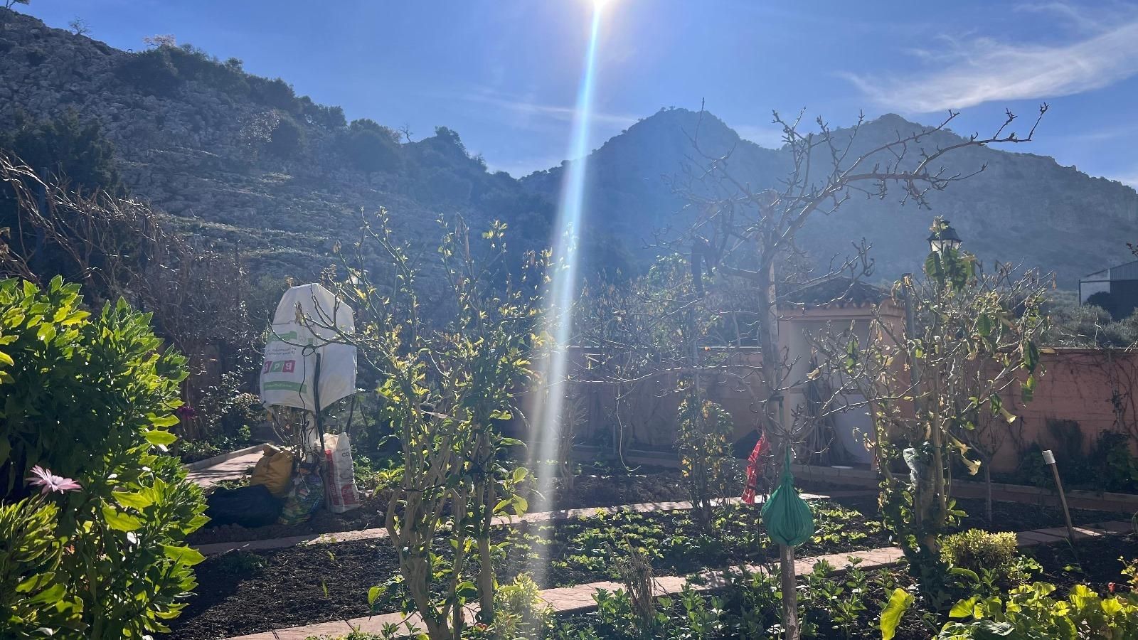 Jardí de Casa o xalet en venda en Cuevas del Becerro amb Aire condicionat, Jardí privat i Terrassa