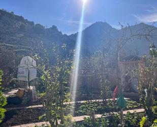 Jardí de Casa o xalet en venda en Cuevas del Becerro amb Aire condicionat, Jardí privat i Terrassa