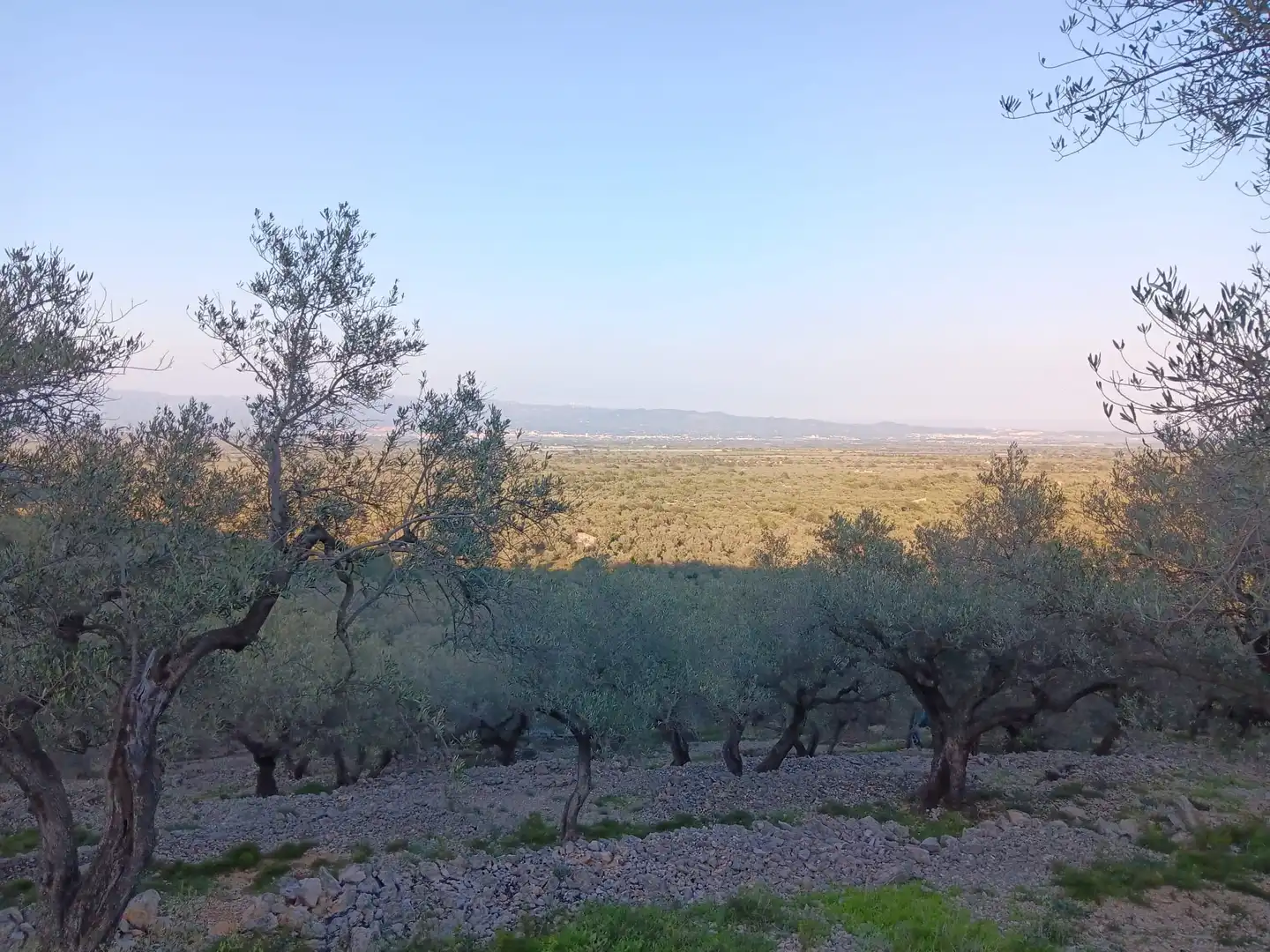 Terrenys i solars en venda a Ferreries, imagen 7