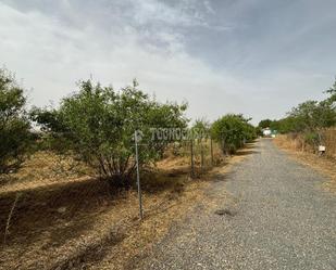 Land for sale in Rivas-Vaciamadrid