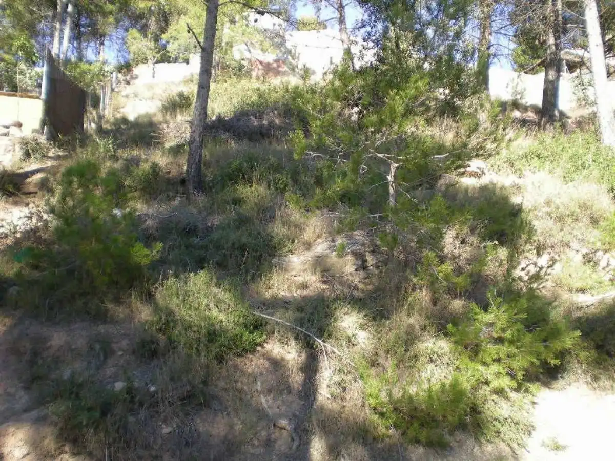 Terrenys i solars en venda a Castellnou de Bages
