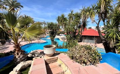 Swimming pool of Flat for sale in Dénia