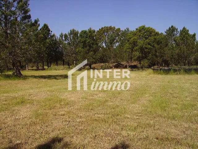 Terreny residencial en venda a Polígono Butaros 181, imagen 4