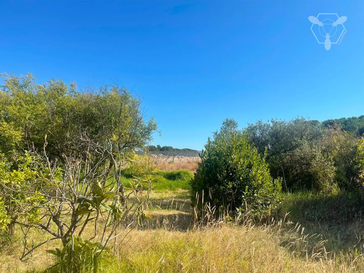 Chalet en venta en Bonares, imagen 25