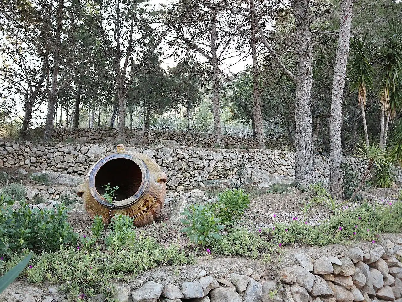 Jardí de Casa o xalet en venda en Alcanar amb Jardí privat, Terrassa i Piscina