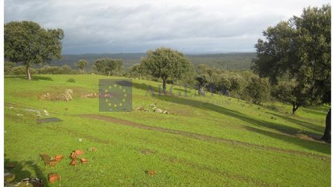 FINCA GANADERA DE UNAS 300 HECTÁREAS EN LA ZONA DE ALCANTARA