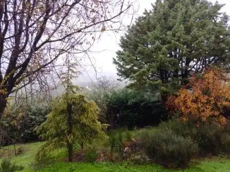 Jardín de Casa o chalet en venta en Zuheros con Calefacción, Jardín privado y Terraza
