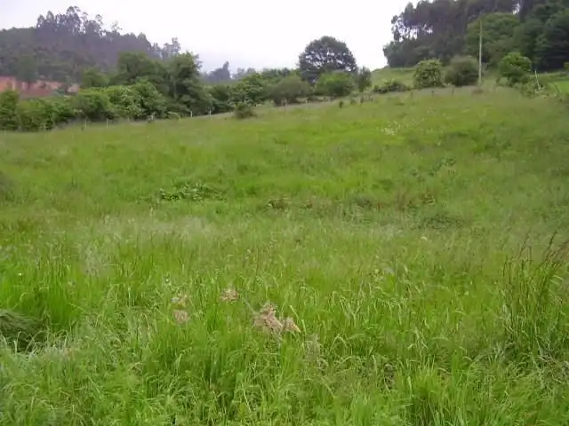 Terreny residencial en venda a Las Regueras, imagen 3