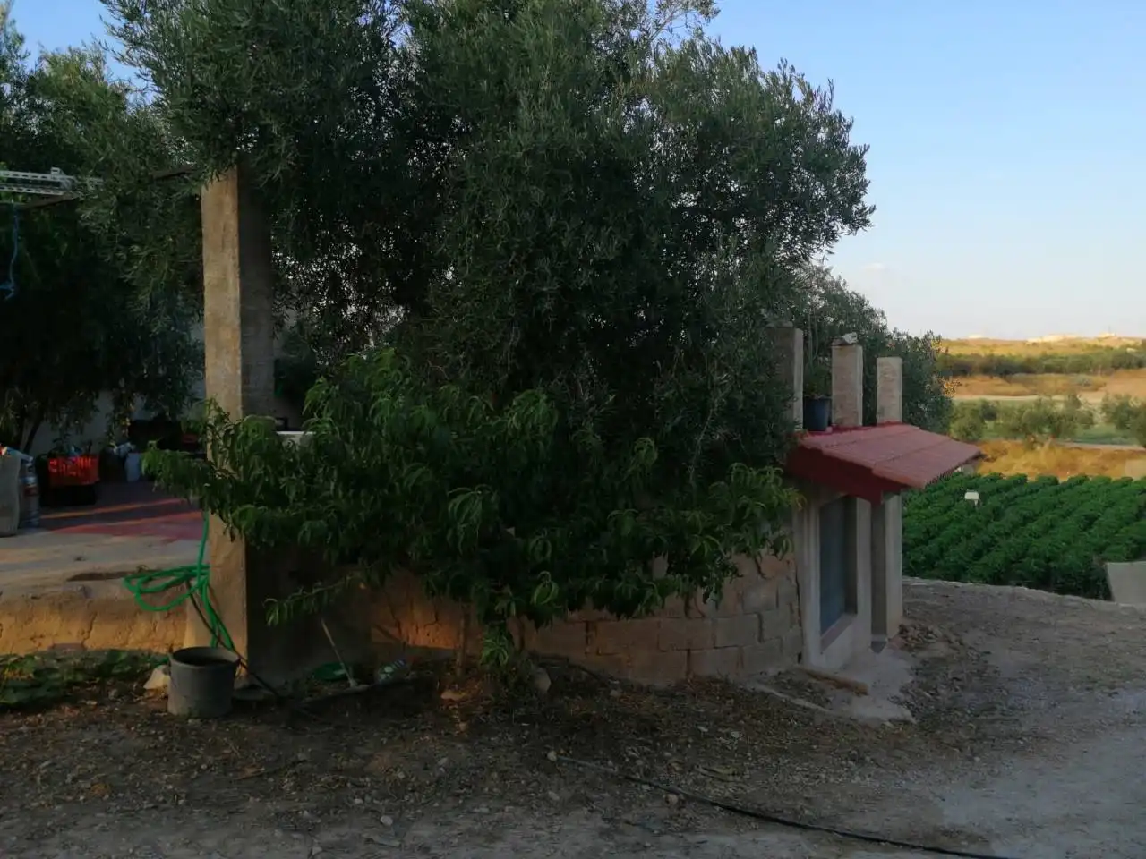 Terrenos y solares en venta en Calle Ctra de Lietor-Hellín, imagen 6