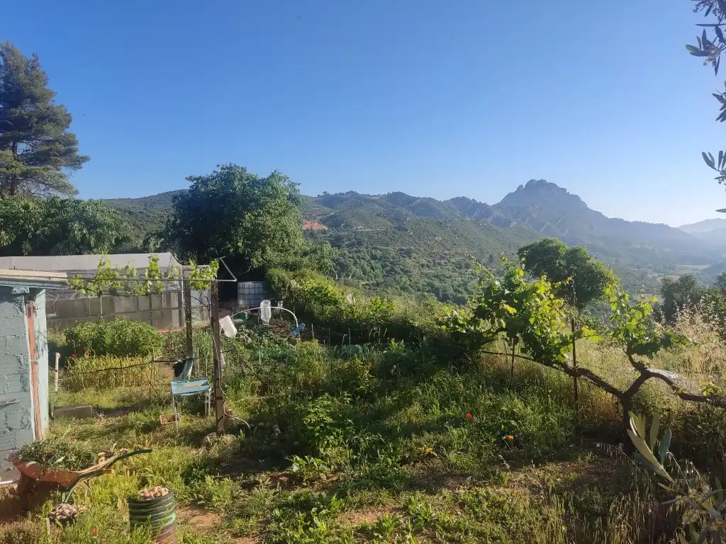 Rural land for sale in Horta de Sant Joan, imagen 5