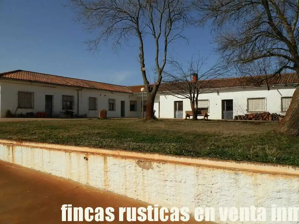 Terreny rústic en venda a Puebla de Don Rodrigo, imagen 5