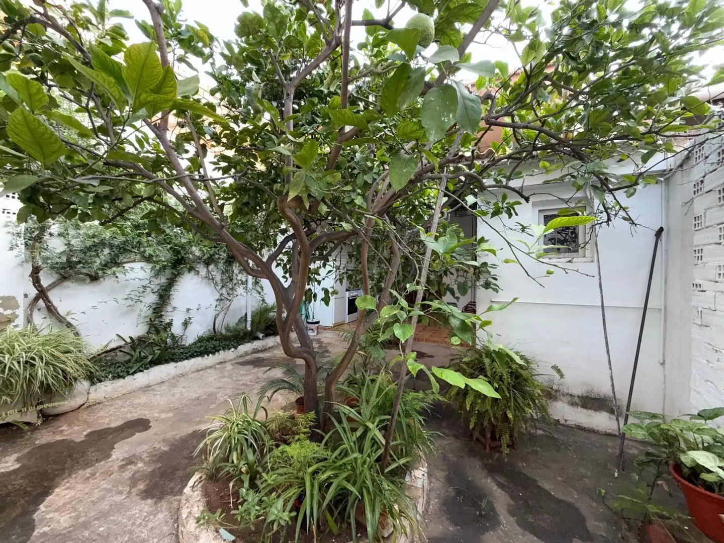 Jardí de Casa o xalet en venda en Alginet amb Aire condicionat, Terrassa i Moblat
