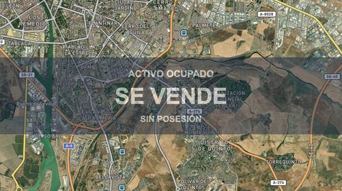 Foto 4 de Piso en venta en El Plantinar – Avda. La Paz - El Juncal, Sevilla Capital
