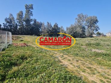 Lands and plots for sale in Polígono 10 Parcela 320 PUÑANILLA