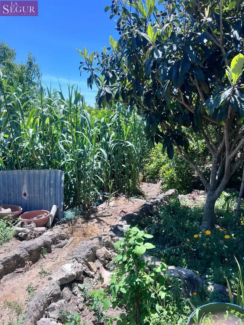 Casa o xalet en venda en Vejer de la Frontera amb Jardí privat