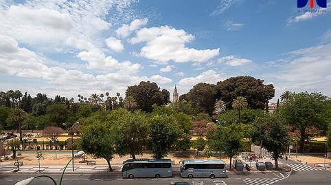 Photo 2 of Office to rent in Avenida de Menéndez Pelayo, San Bernardo, Sevilla