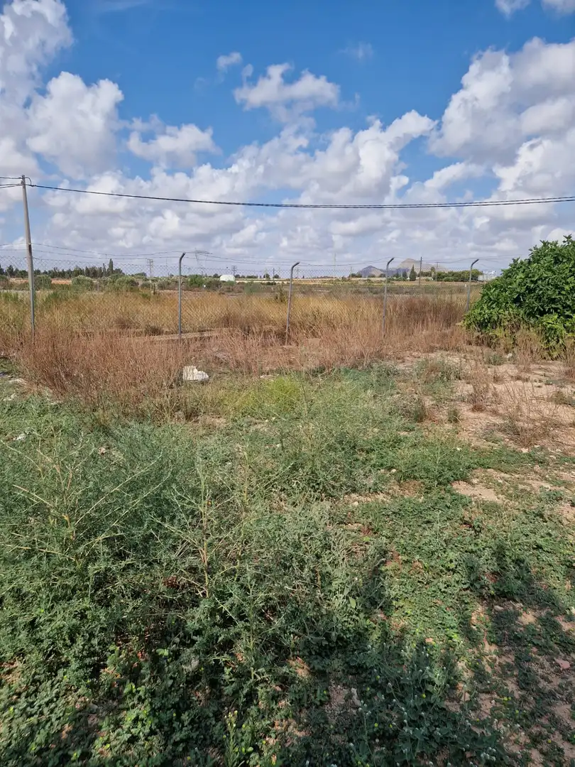 Terreny rústic en venda a San Javier ciudad