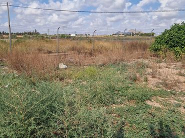 Rustikales Grundstück zum Verkauf in San Javier ciudad