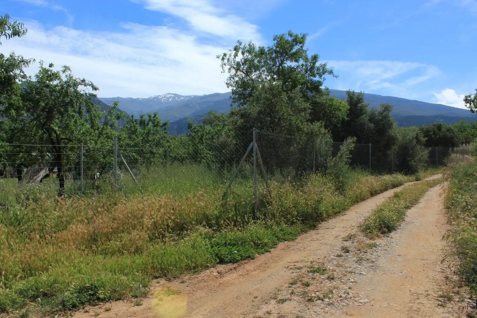 Terreno en venta en Nigüelas