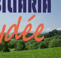 Piso con terraza en venta en Artatza - Pinueta - Pinosolo, imagen 23