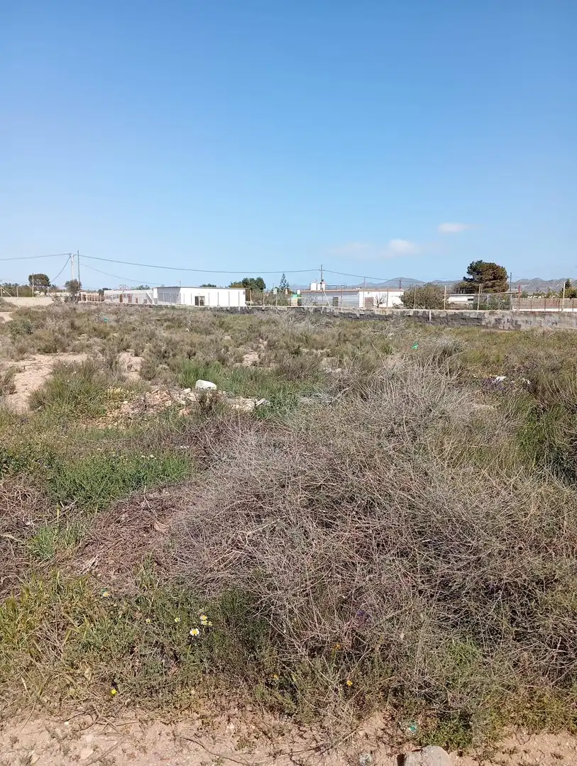 Terreny rústic en venda a Retamar, imagen 10